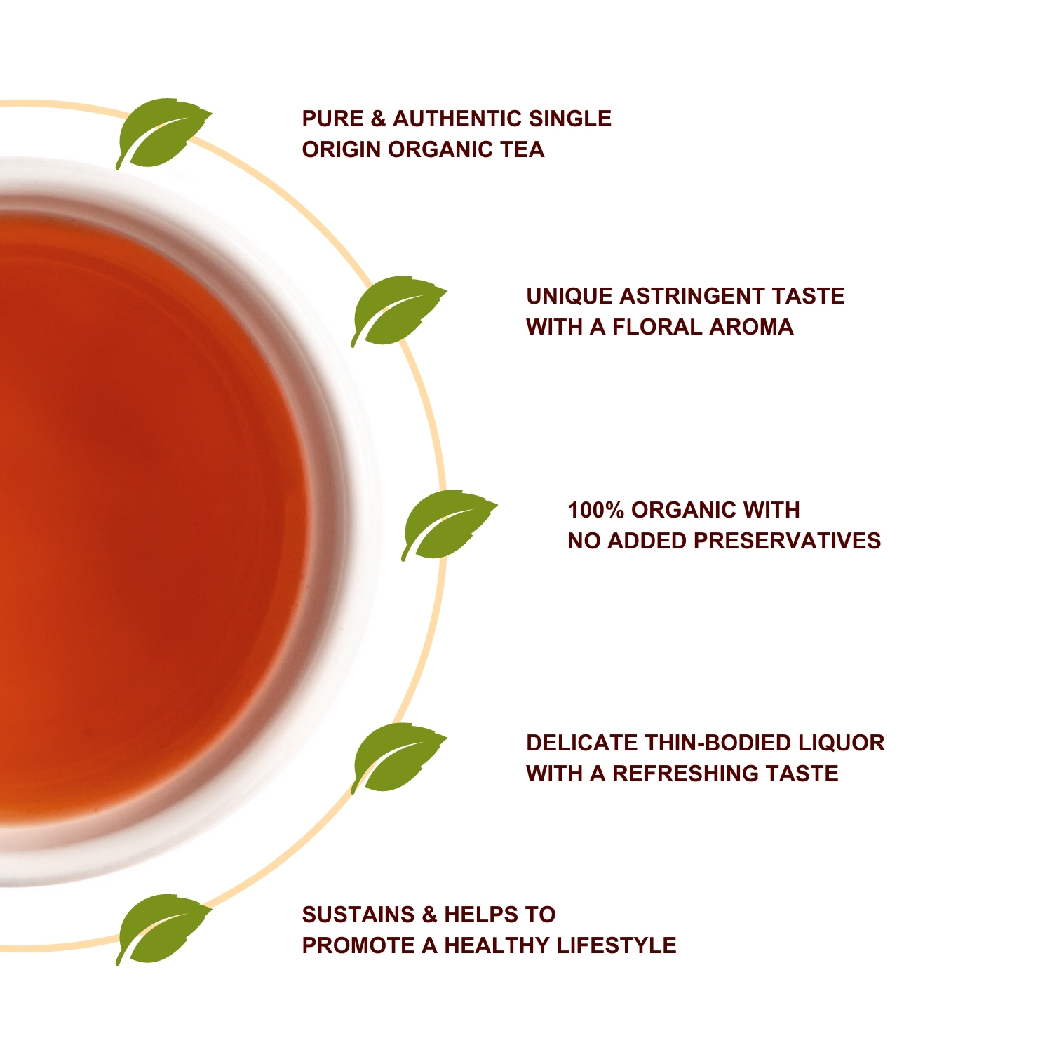 Organic Darjeeling Black Tea | 100% Organic Wholesome Turmeric Tea